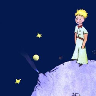 the little prince小王子