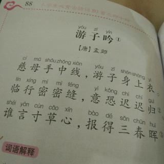 游子吟虞鹏程