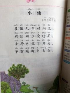 【古诗挑战300首day27】小池(杨万里)