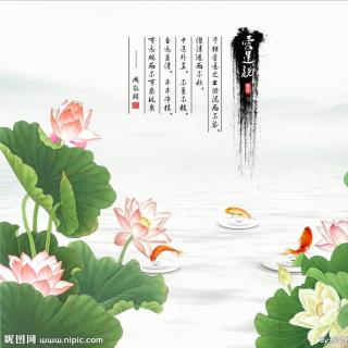 经典文言文及诗词诵读——《爱莲说》