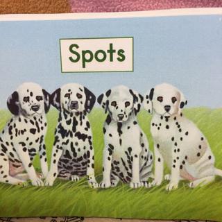 spots