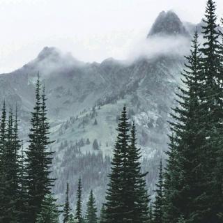 晚安一切 林海 琵琶语