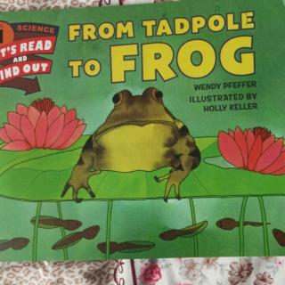 科一19 from tadpole to frog