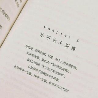 不如你我两清,做回甲乙丙丁