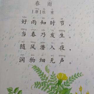 唐诗《春雨》[唐] 杜甫