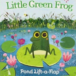 儿童英文歌曲~little green frog