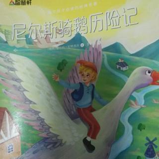 尼尔斯骑鹅历险记之大海中的白银飞往家乡532
