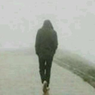 Tears眼泪-NJ海鸥