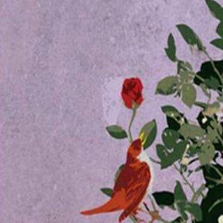 the nightingale and the rose