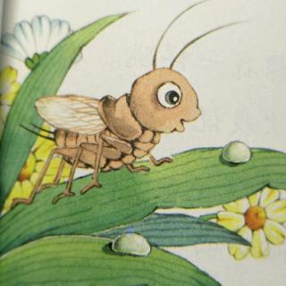 我是一只小虫子