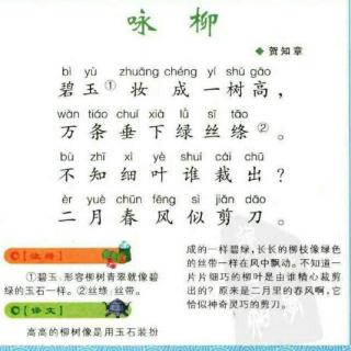 咏柳唐贺知章