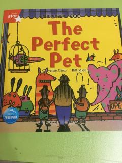 20180304 the perfect pet