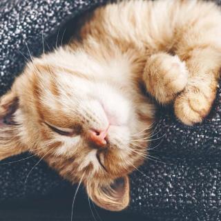 喜欢你时的内心活动