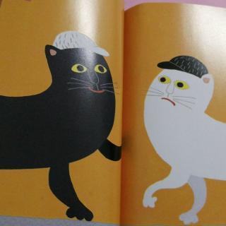 猫戴帽