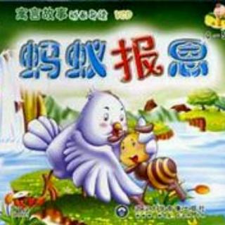 棒吉拉故事汇《蚂蚁报恩》飘花电影下载的文件在哪里图片