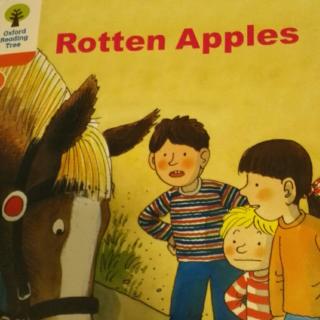6-8 rotten apples