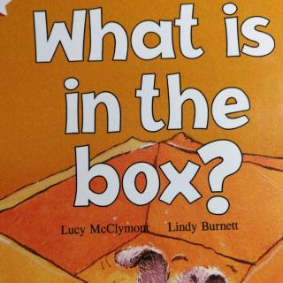 what is in the box?