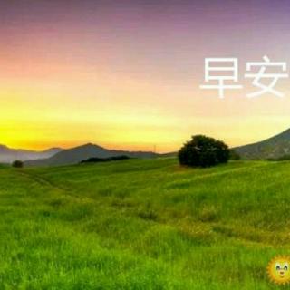 《家人们早上好》