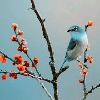 《活法》序言~混乱时代中追问人生的意义