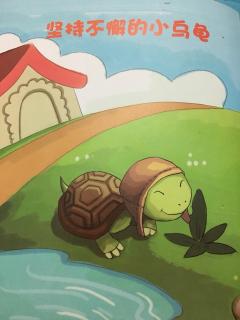 第四周《坚持不懈的小乌龟》张梦婷