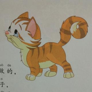 小猫走路没有声音