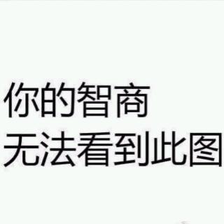 智商堪忧的雪