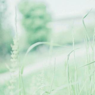 【纸短情长】在线收听_橙子的播客_荔枝