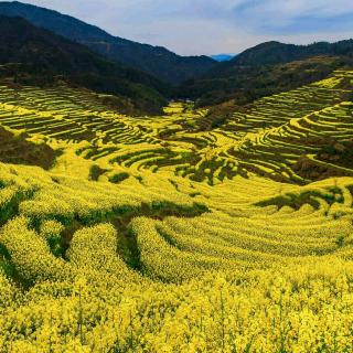 【24 两个铁球同时着地】在线收听_王纬斌06的播客_荔枝