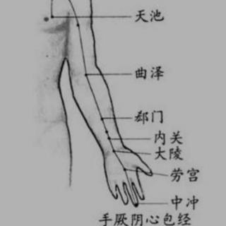 【话中医·梧桐说】十二正经养生之心包经