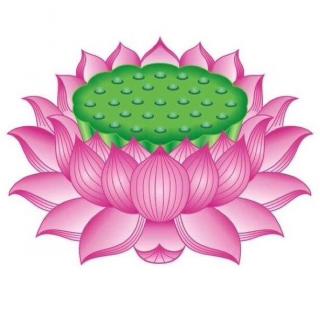 善与恶