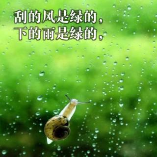 绿 艾青