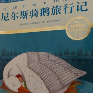 尼尔斯骑鹅旅行记保姆莫顿