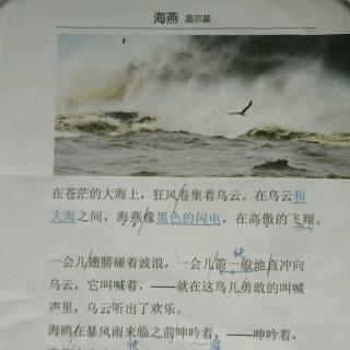 海燕教案初一语文教案综合实践上海版