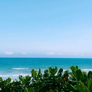 面朝大海春暖花开
