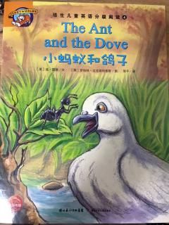 the ant and the dove(发音a)