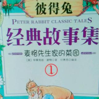 彼得兔麦格先生家的菜园
