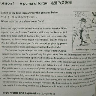 新概念第三册 lesson 1 a puma at large