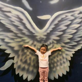 假如我会飞