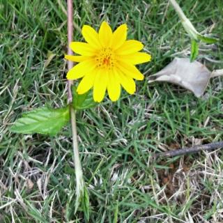 《黄帝内经.素问:阴阳应象大论篇第五》