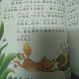 黄鼠狼偷鸡