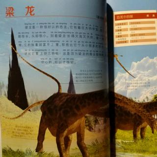 恐龙星球侏罗纪【梁龙】