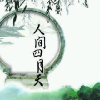 你是人间四月天 林徽因