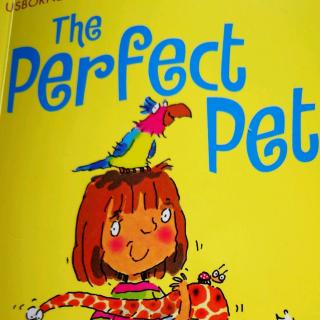 180602the perfect pet