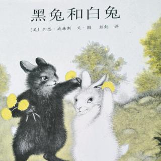 黑兔和白兔