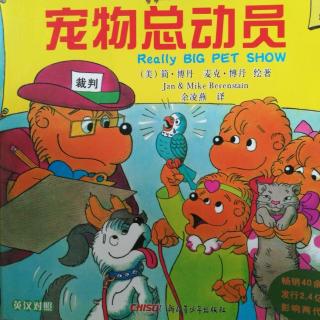 贝贝熊——宠物总动员