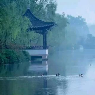 半山听雨