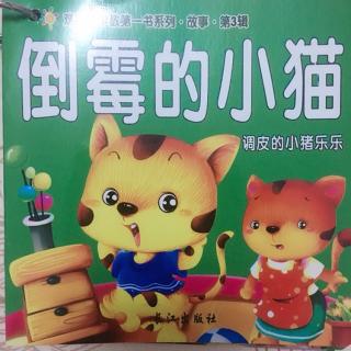 倒霉的小猫～调皮的小猪乐乐——sofia