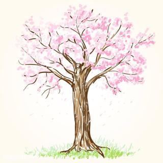 【诗朗诵】一棵开花的树-席慕蓉