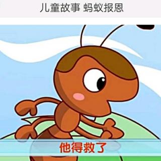 幼儿园图画故事手绘