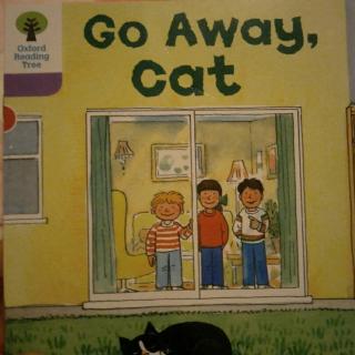 1-72 go away,cat